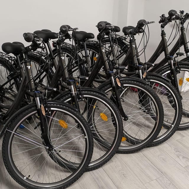 NERJA: Ebike Rental - Key Points