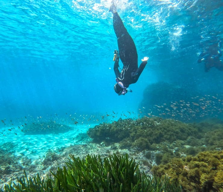 Nerja-Maro: Snorkeling & Sea Scooter - Key Points