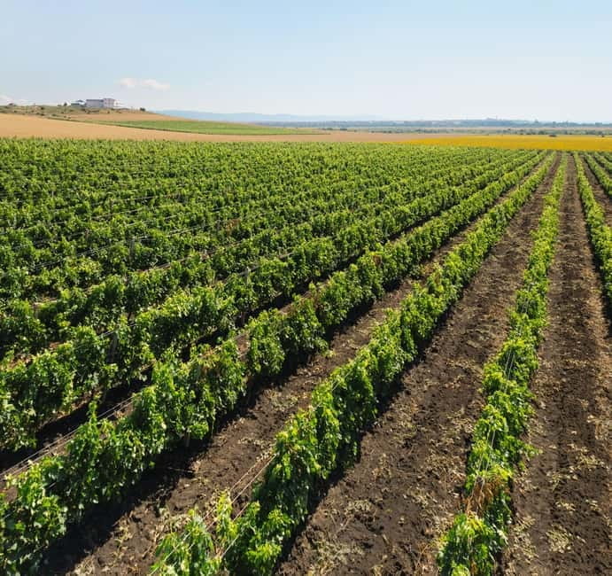 Nessebar: Guided Tour in English with Wine Tasting - FAQ