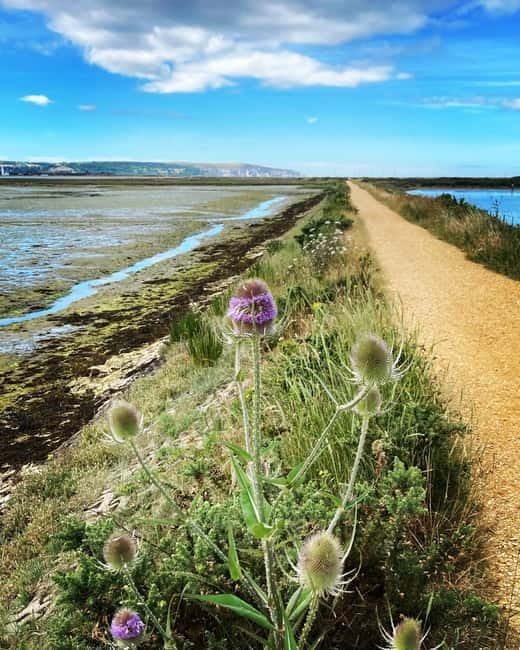 New Forest: E-Bike Pedal & Puzzle Escape Adventure - Final Thoughts