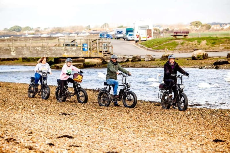 New Forest National Park: Full-Day E-Bike Rental - Key Points / Takeaways