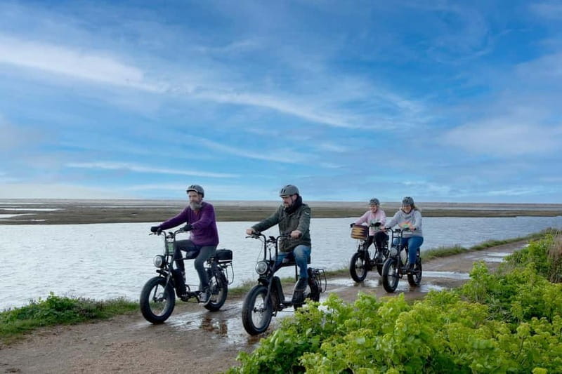 New Forest National Park: Full-Day E-Bike Rental - The Perfect Match for Certain Travelers