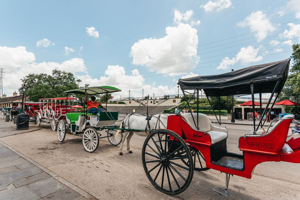 New Orleans: City Sightseeing Hop-On Hop-Off Bus Tour - Customer Reviews and Ratings