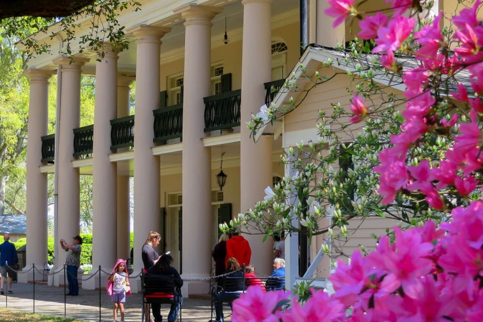 New Orleans: Oak Alley Plantation Tour With Transportation - Marveling at the Oak Trees