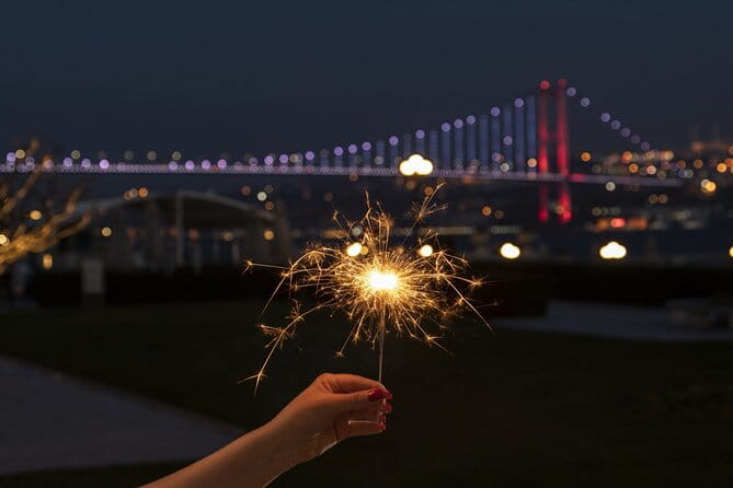 New Year's Eve dinner cruise & party on Bosphorus, Istanbul 2026 - Who Is This Experience Ideal For?