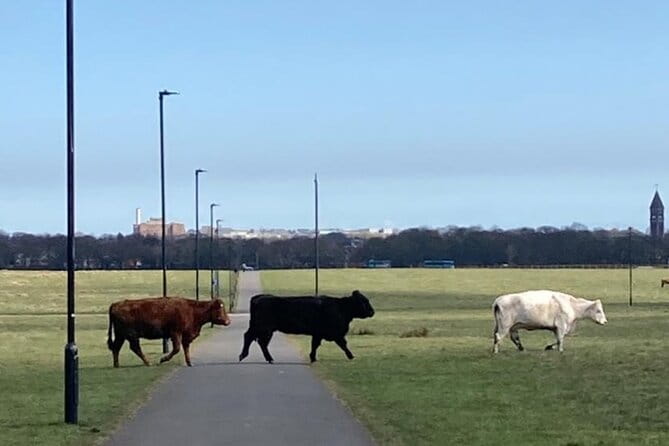 Newcastle Cycling Tour - Practical Details and Value