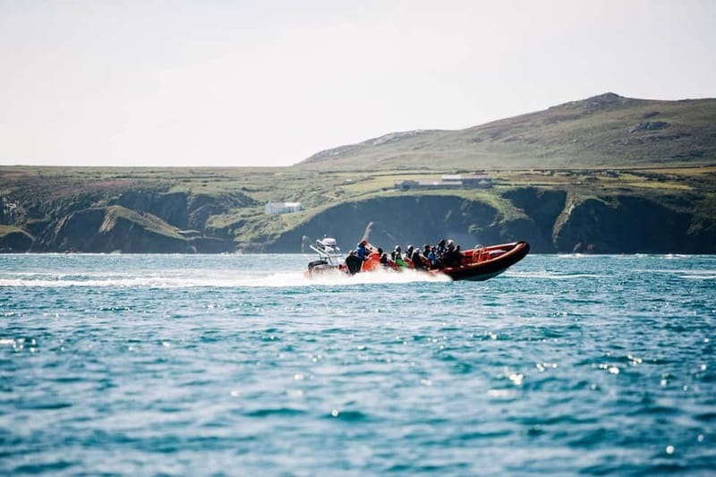 Newhaven: Seven Sisters and Birling Gap Boat Tour - Who Is This Tour Perfect For?