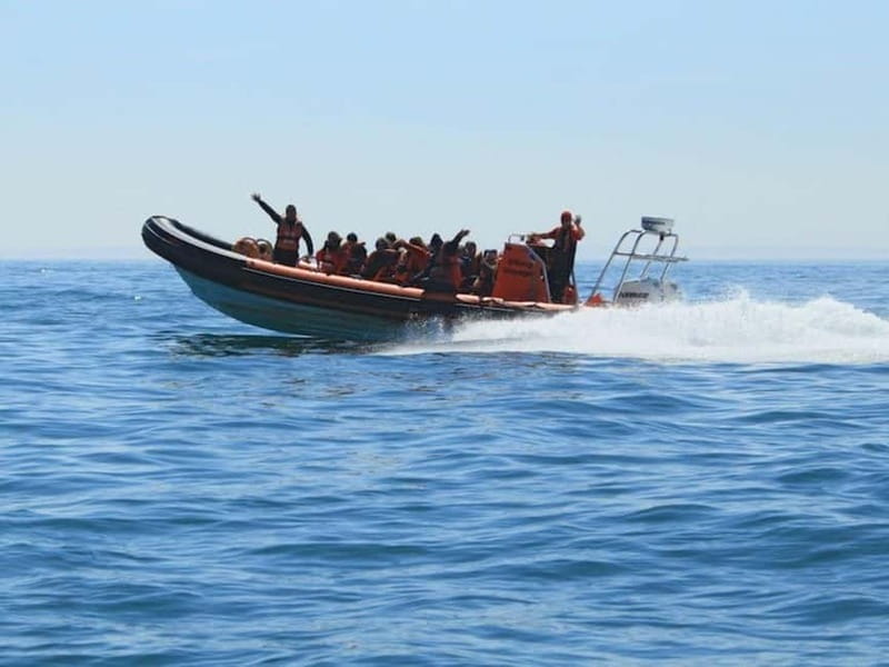 Newhaven: Three Zero Seaford Bay Speedboat Ride - The Experience: What a 30-Minute Speedboat Trip Looks Like