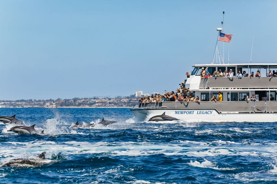 Newport Beach: 2-Hour Whale Watching Tour - Key Points