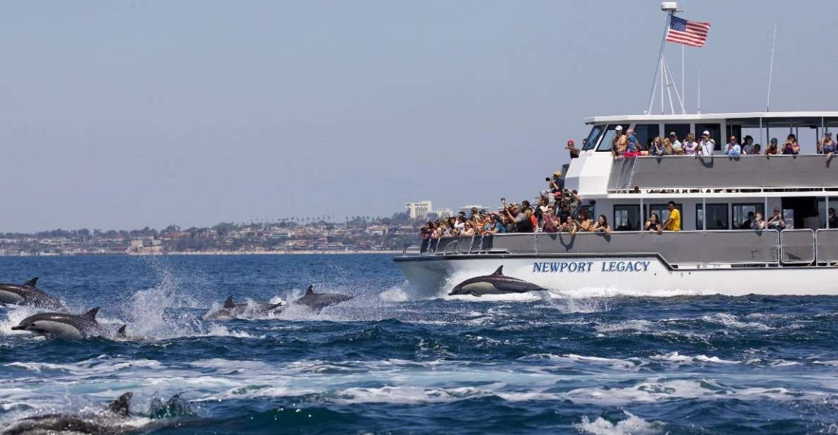 Newport Beach: Whale and Dolphin-Watching Cruise - Cruise Details