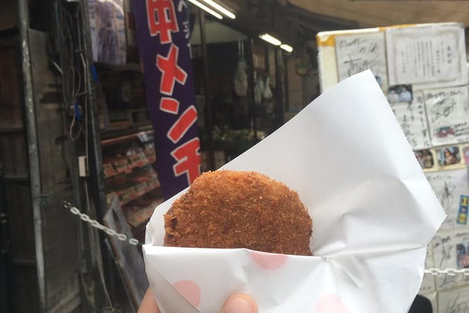 Nezu Shrine and Yanaka Backstreet Walking Tour by Storyteller - Physical Requirements and Accessibility