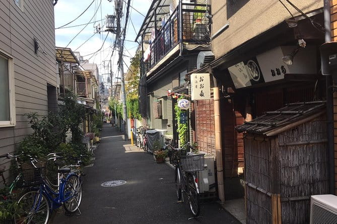 Nezu Shrine and Yanaka Backstreet Walking Tour by Storyteller - Exploring Yanaka Backstreets