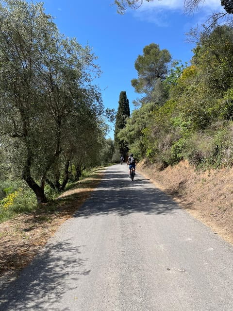 Nice: Bellet Vineyards E-Bike Tour with Wine Tasting - Key Points / Takeaways