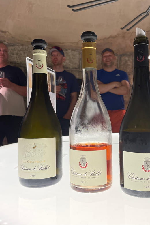 Nice: Bellet Vineyards E-Bike Tour with Wine Tasting - Exploring Nice’s Bellet Vineyards on Two Wheels