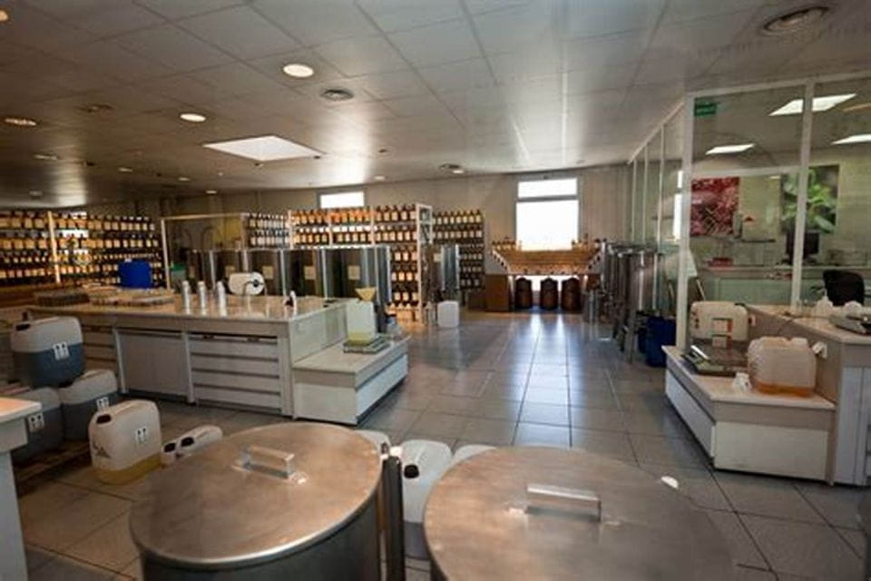 Nice: Italian Market, Eze, and Turbie Tour - Discovering Turbie