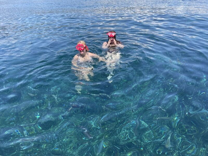 Nice: Monaco & Mala Caves Boat Trip with Snorkeling - Final Thoughts: A Well-Rounded Coastal Adventure