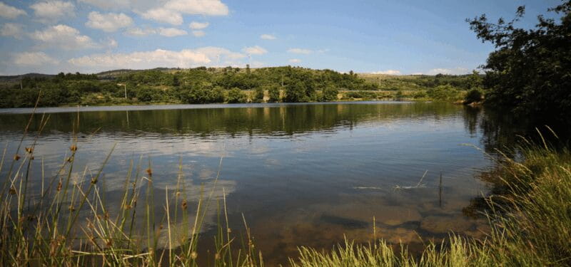 Nidderdale Driving Tour with an APP - Price and Value Analysis