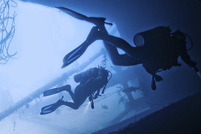Night Diving At Caribbean Sea - Key Points