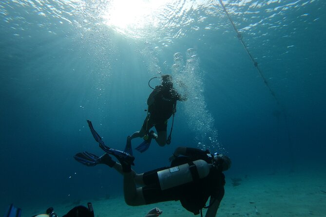 Night Diving At Caribbean Sea - Schedule