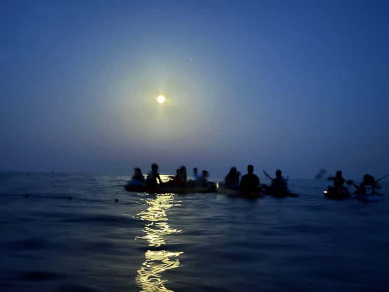 Night Kayak or Paddle Surfing Excursion - Discovering Mallorca’s Coveted Coastline at Night