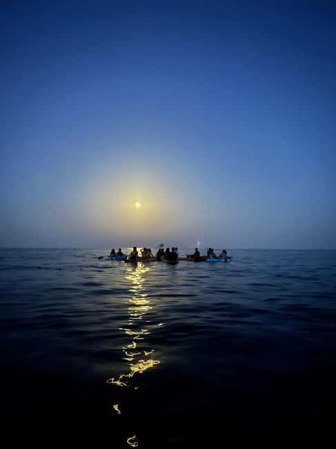Night Kayak or Paddle Surfing Excursion - What to Expect During the Night Paddling Experience