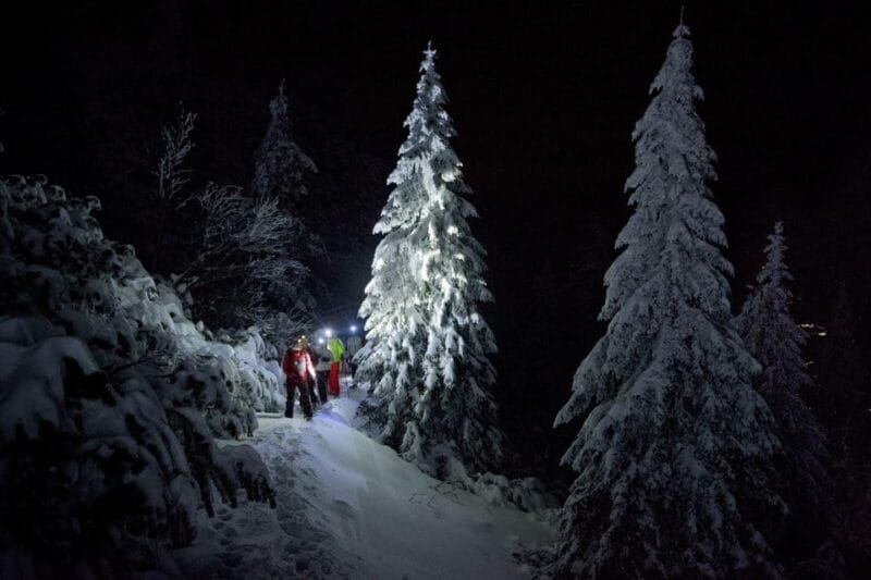 Night Snowshoeing Lapland Experience - Entering a Nighttime Wonderland