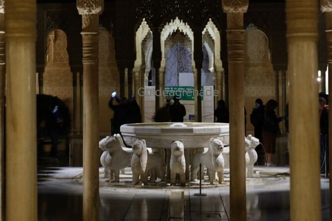 Night Tour of Alhambra and the Nasrid Palaces - The Heart of the Night: Nasrid Palaces and the Palace of Lions