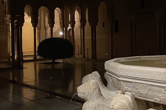 Night tour of the Alhambra and the Nasrid Palaces - Experiencing the Alhambra at Night: What to Expect