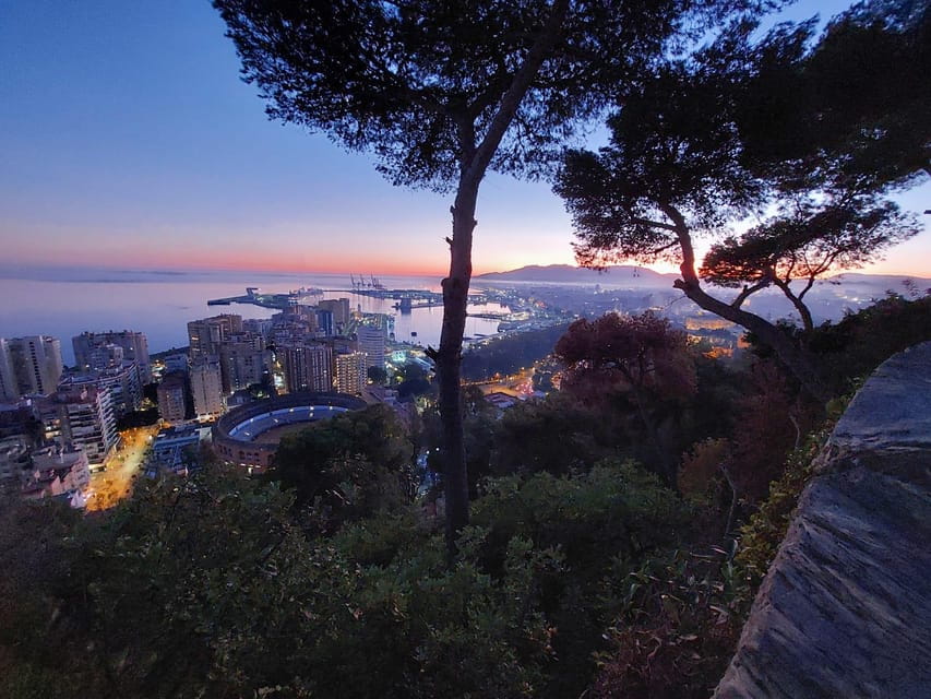 Nigth Tour in Malaga by Electriccar.Enjoy the Sunset - Scenic Stops Along the Route