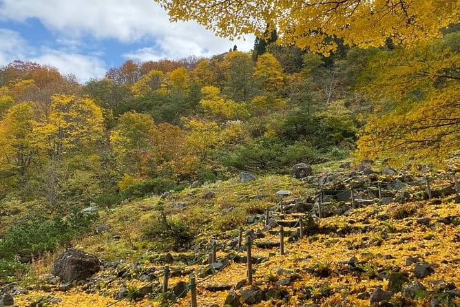 Niigata Private Customizable Full Day Tour - About Japan Awaits and Our Services