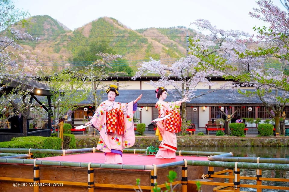 Nikko: Autumn Foliage, Edo Wonderland Tour Review - Transportation and Seating