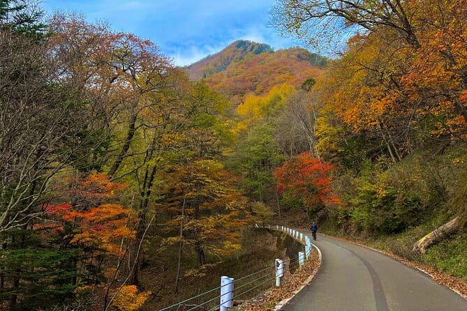Nikko Cycling Tour With Local Guide - Key Points