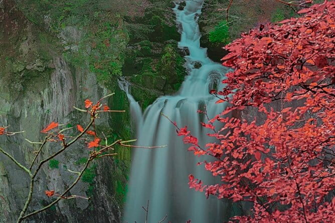 Nikko Full Day Customize Private Tour - Pickup Information