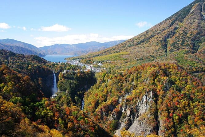 Nikko Full Day Customize Private Tour - Accessibility and Participation