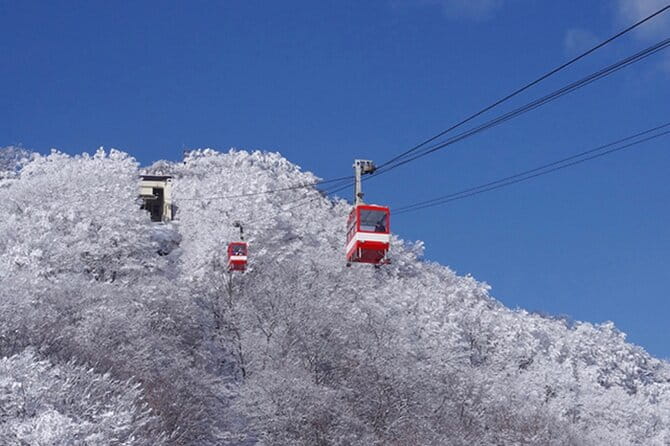 Nikko Full Day Customize Private Tour - Booking Details