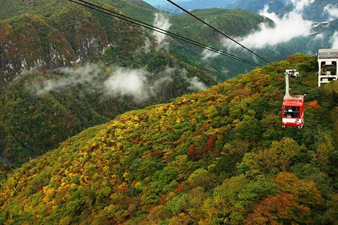 Nikko Full Day Customize Private Tour - Customizing Your Tour