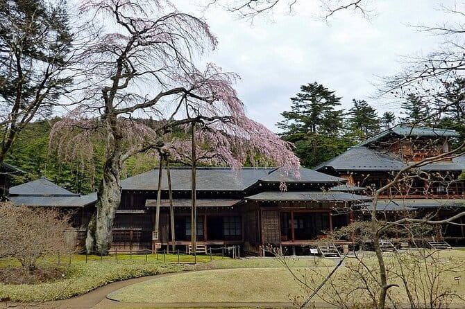 Nikko Full Day Private Tour With English Speaking Driver - Tour Schedule and Accessibility