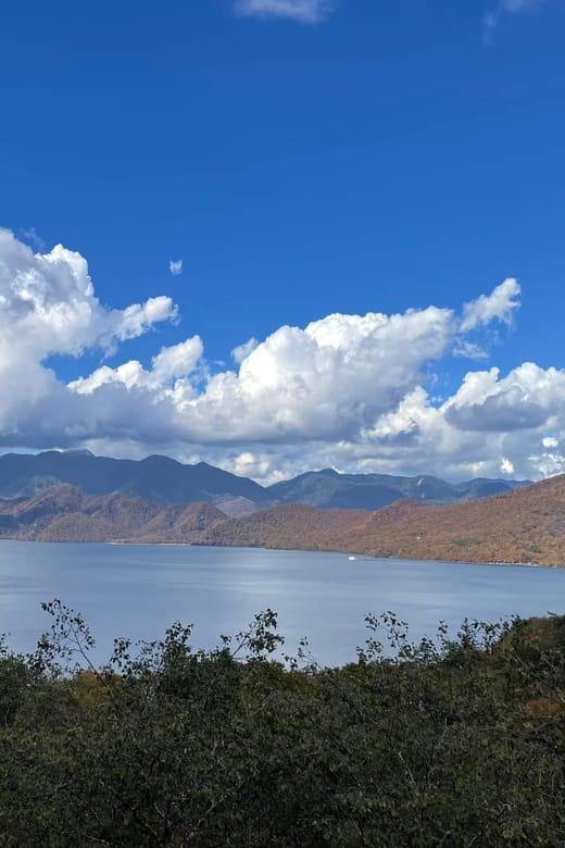 Nikko Full Day Private Tour With English Speaking Guide - Inclusions