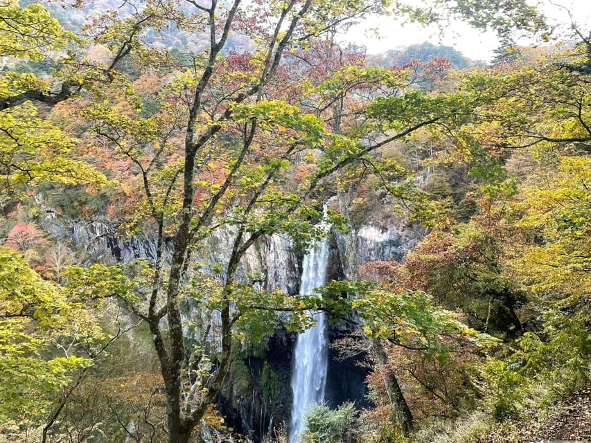 Nikko Full Day Private Tour With English Speaking Guide - Important Information
