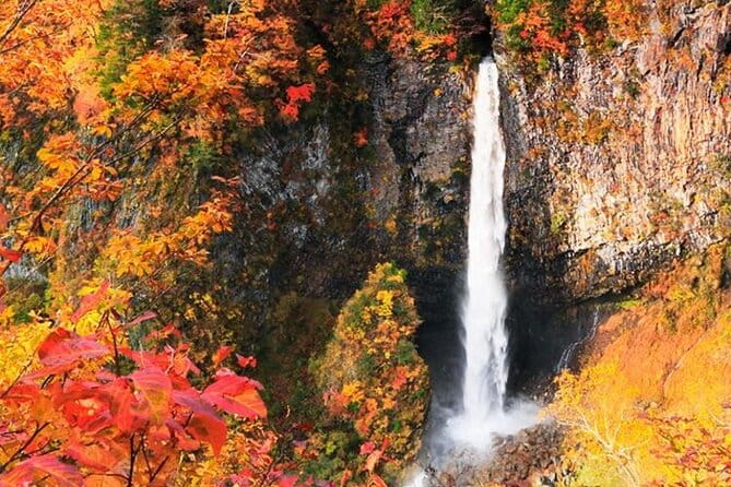 Nikko Full Day Tour With ENGLISH Speaking Driver - Pickup and Drop-off Details