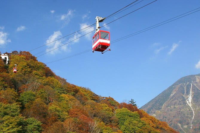 NIKKO PASS All Area - Accessibility Options and Policies