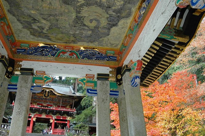 NIKKO PASS All Area - Tips for Maximizing Your Pass Experience