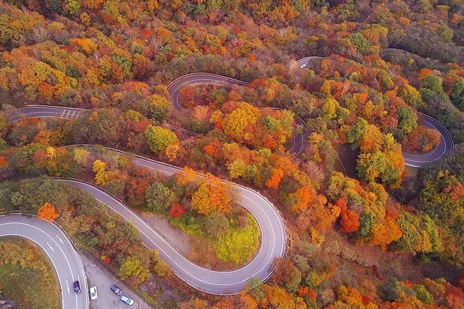 Nikko Private Day Tour by Car With Pick up From Tokyo - Booking and Cancellation Policy