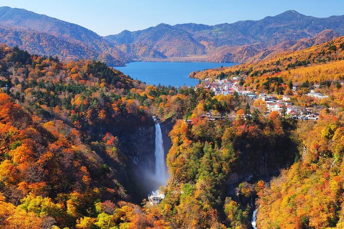 Nikko Private Day Tour by Car With Pick up From Tokyo - Tour Guide and Experience