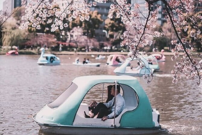 Nikko Private Day Trip With English Speaking Driver From Tokyo - What to Bring