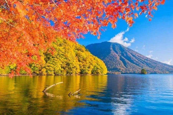 Nikko Private Tour From Tokyo With Licensed Guide and Vehicle - Guest Experiences and Feedback