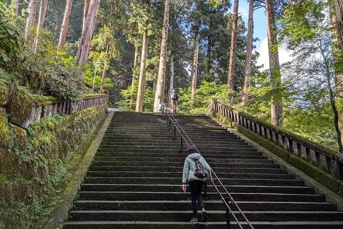 Nikko Private Tour With Temples and Nature and World Heritage - Meeting Points and Transportation Details