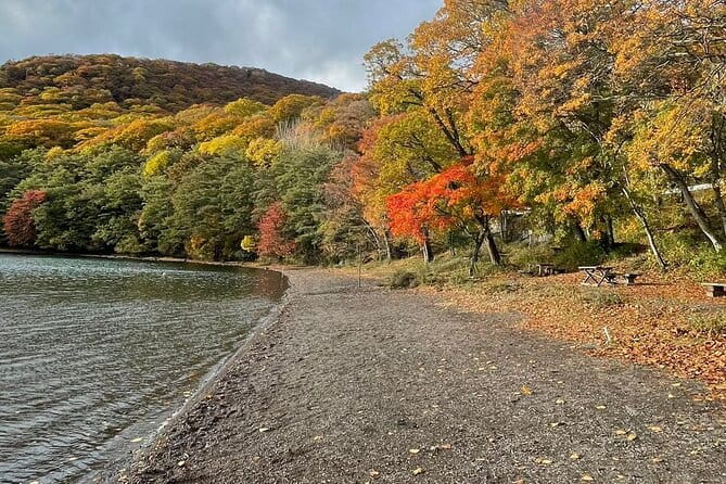 Nikko Sightseeing Private 10 Hours Tour English Speaking Driver - Key Points