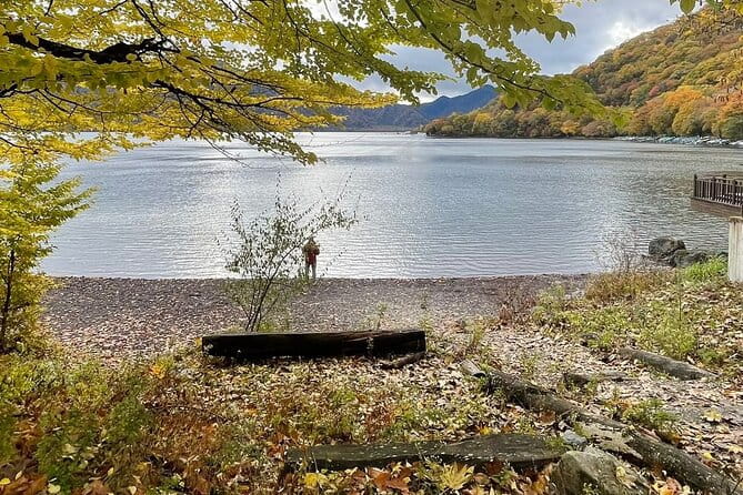 Nikko Sightseeing Private 10 Hours Tour English Speaking Driver - Travel Requirements and Conditions