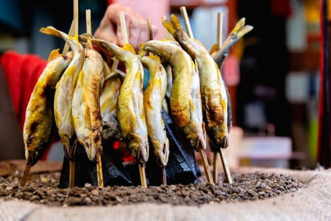 Nikko Toshogu Shrine Tour From Tokyo With Pro Guide & Driver - Key Points